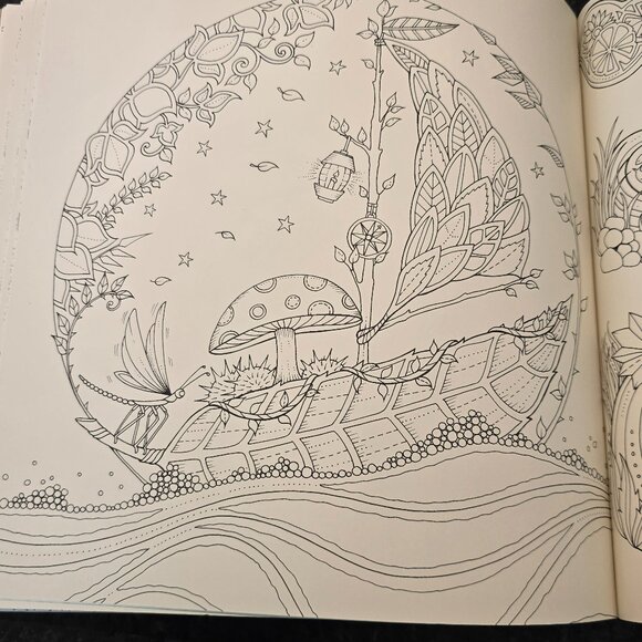 Animal Kingdom and Enchanted Forest Coloring Book (Set of 2) - Picture 10 of 14